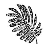 VL_Albizia_julibrissin